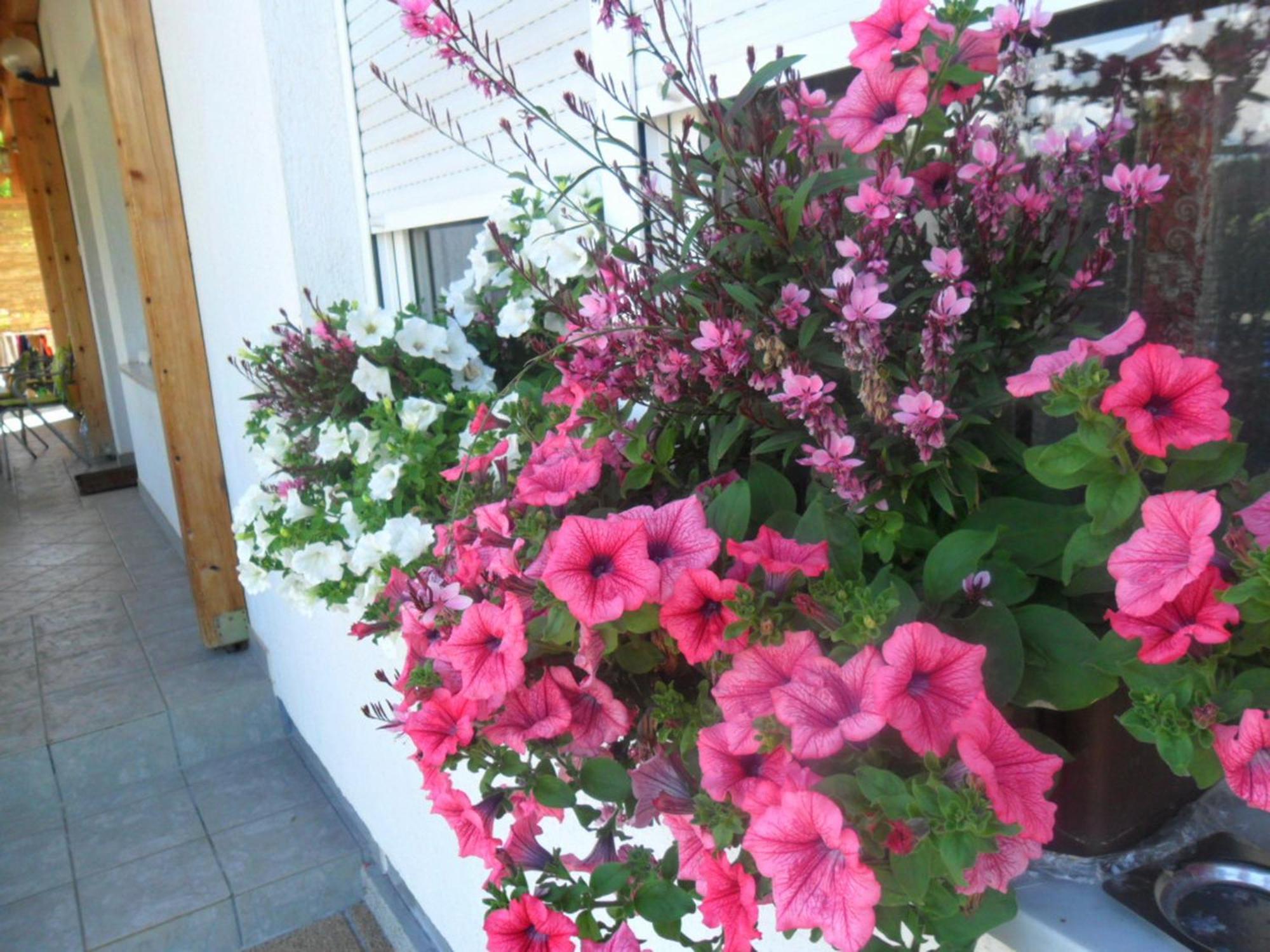 Guesthouse Sara Grabovac  Exterior foto
