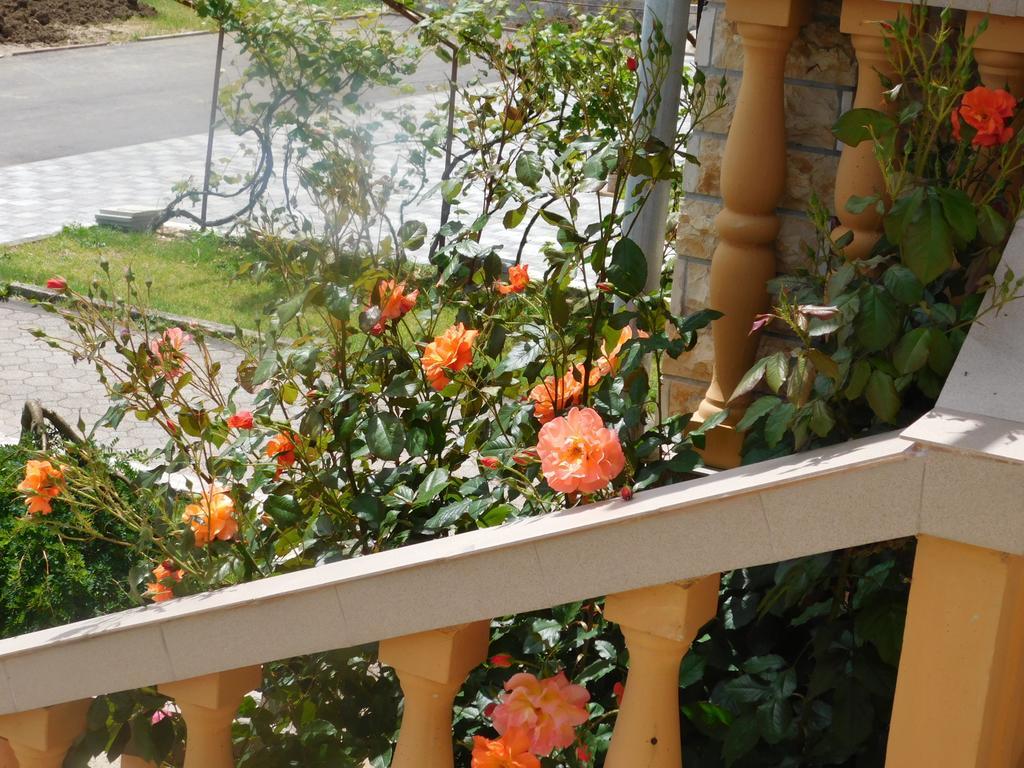 Guesthouse Sara Grabovac  Exterior foto